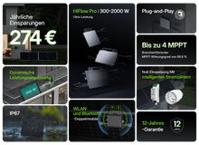 Lade das Bild in den Galerie-Viewer, SALE (neuwertig) - Hoymiles HiFlow 2000 Pro Mikrowechselrichter für Balkonkraftwerk - 0% nach §12 Abs. 3 UStG
